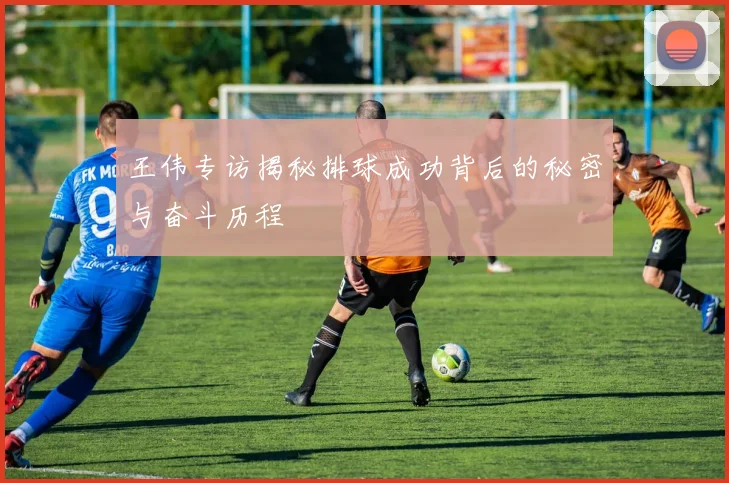 王伟专访揭秘排球成功背后的秘密与奋斗历程
