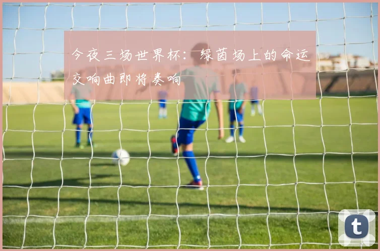 今夜三场世界杯：绿茵场上的命运交响曲即将奏响