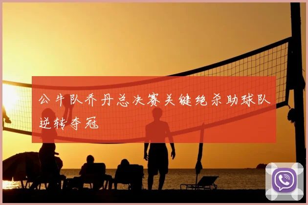 公牛队乔丹总决赛关键绝杀助球队逆转夺冠