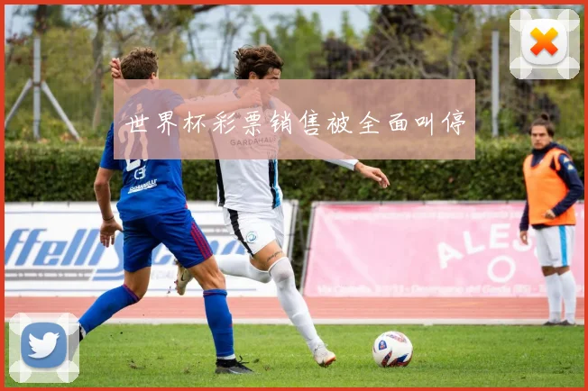 世界杯彩票销售被全面叫停
