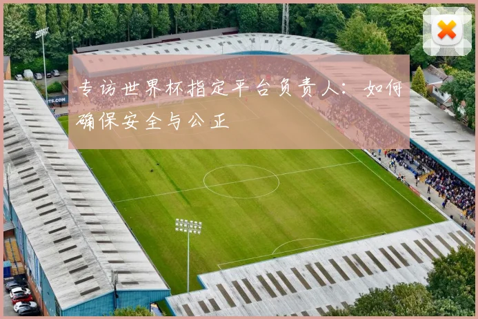 专访世界杯指定平台负责人：如何确保安全与公正