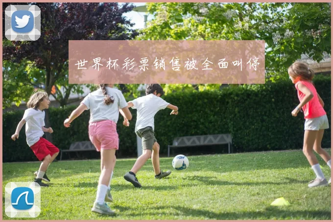 世界杯彩票销售被全面叫停