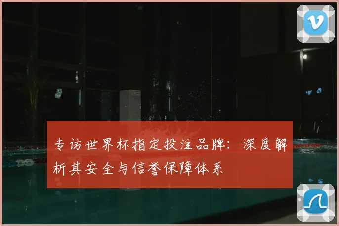 专访世界杯指定投注品牌：深度解析其安全与信誉保障体系