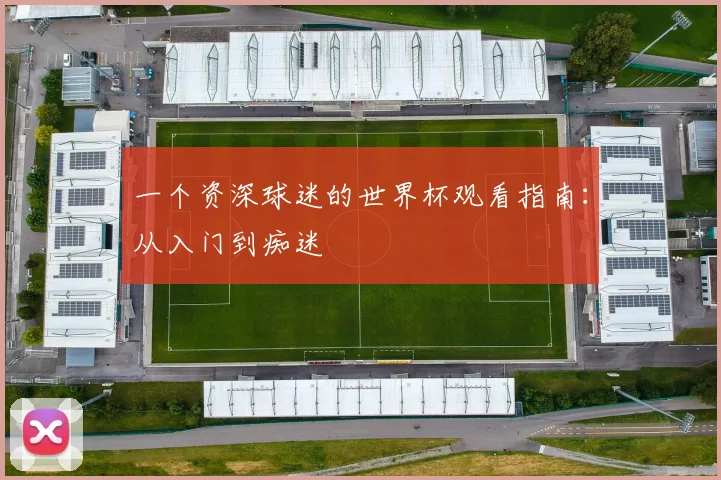 一个资深球迷的世界杯观看指南：从入门到痴迷
