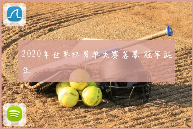 2020年世界杯男单决赛落幕 冠军诞生