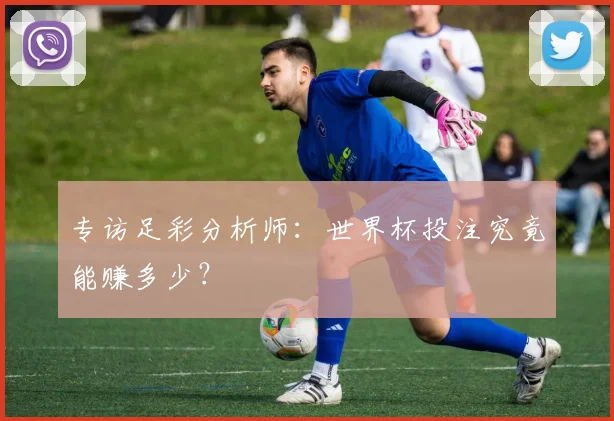 专访足彩分析师：世界杯投注究竟能赚多少？