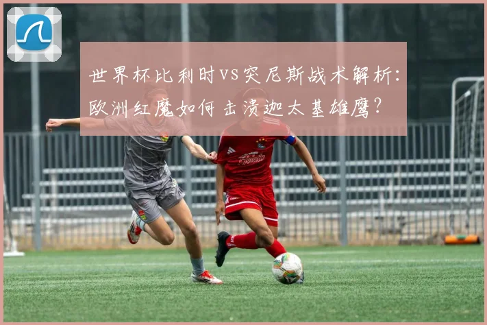 世界杯比利时vs突尼斯战术解析：欧洲红魔如何击溃迦太基雄鹰？