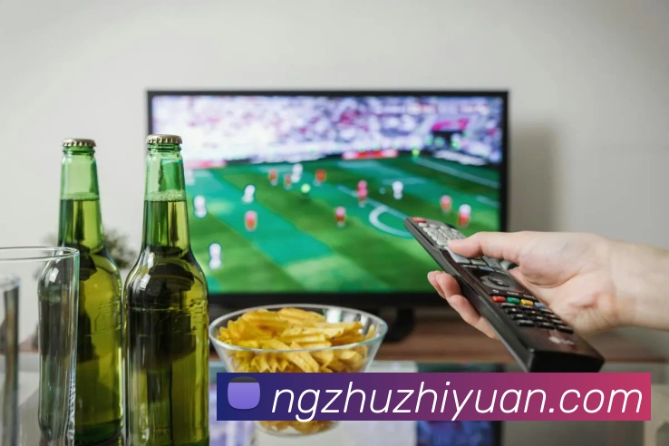企业概况