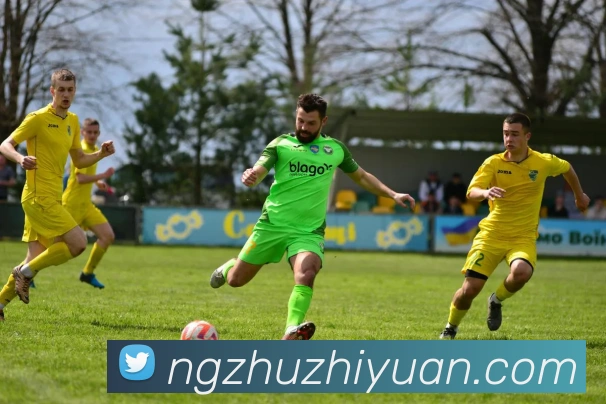 多彩内容专区