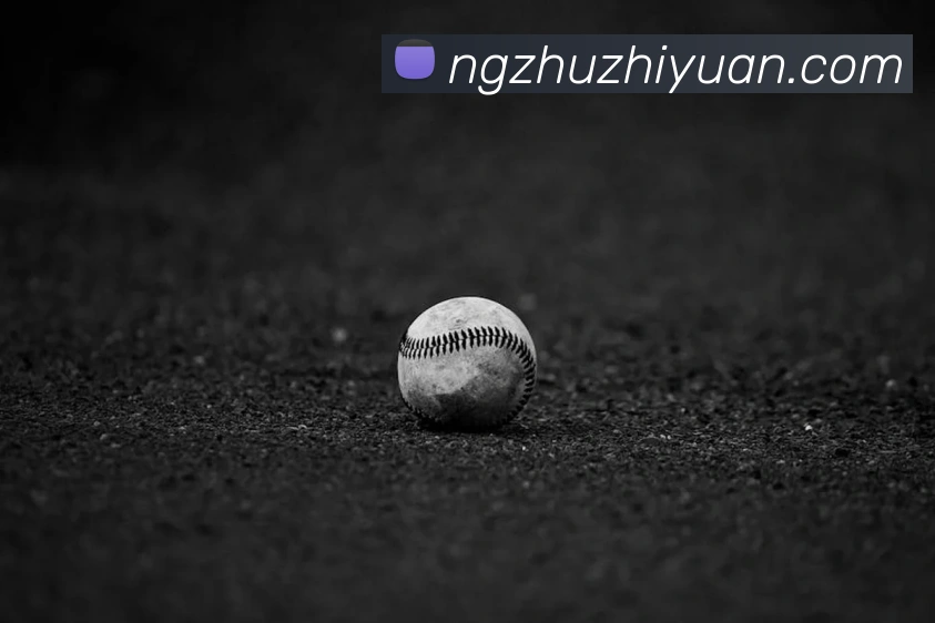 华体会体育APP 封面图